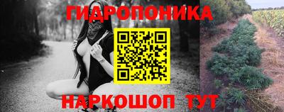 дурь Камышлов