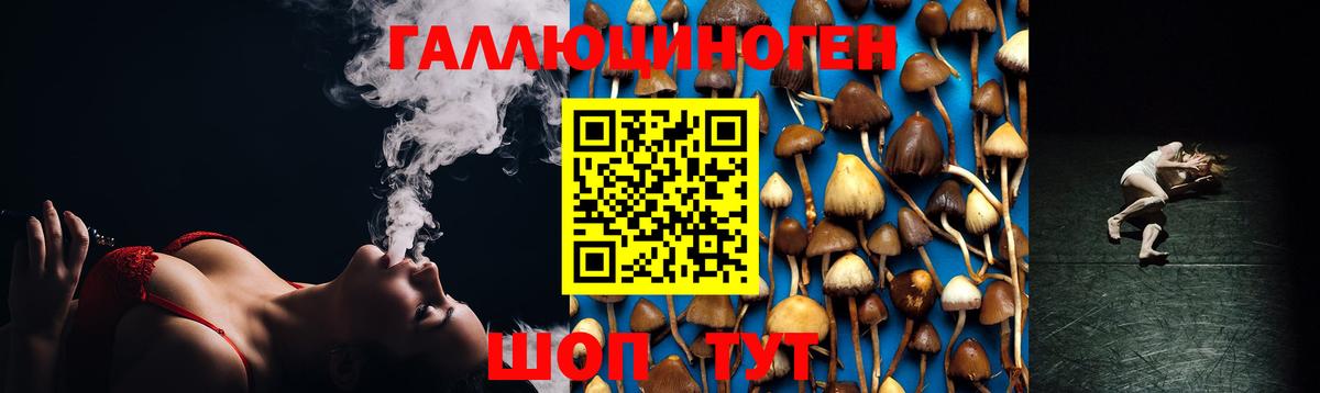 Псилоцибиновые грибы MAGIC MUSHROOMS  Вход с VPN  Красноперекопск 